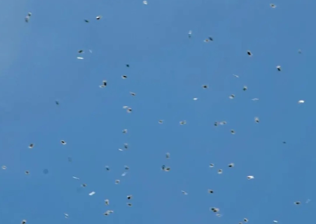 A „plouat“ cu sute de pungi de canabis la Tel Aviv. Drogurile au fost aruncate de o dronă