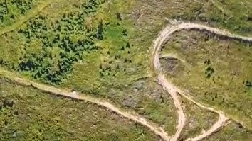 Iniţiativă inedită: pentru fiecare brăţară vândută, doi tineri plantează un copac