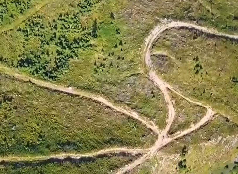 Iniţiativă inedită: pentru fiecare brăţară vândută, doi tineri plantează un copac