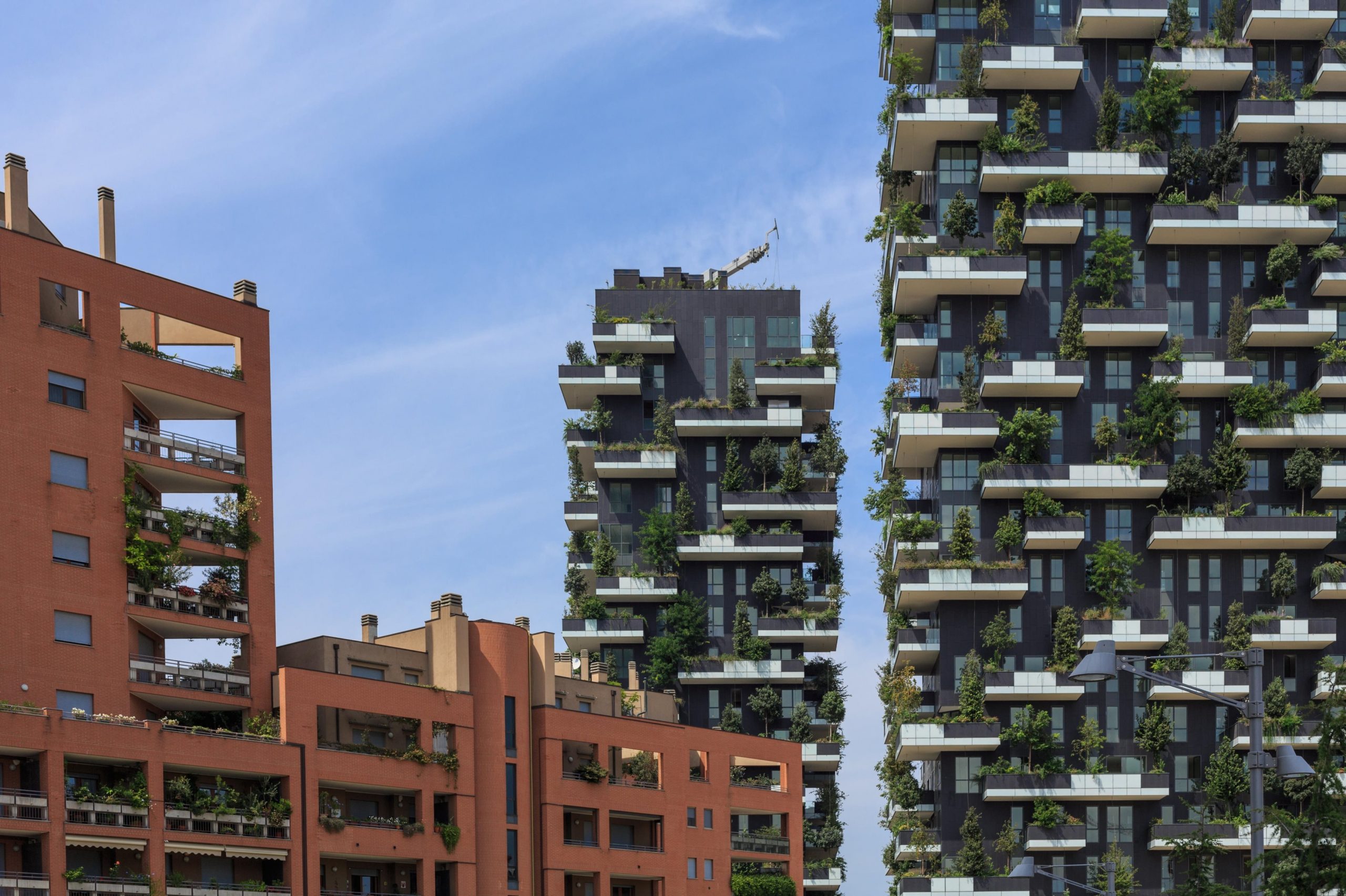 Chinezii au copiat Pădurea Verticală din Milano, însă experimentul lor a fost un eșec