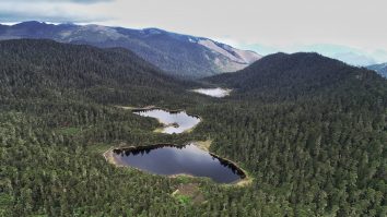 Scenariu sumbru: Două cincimi dintre plante ar putea dispărea