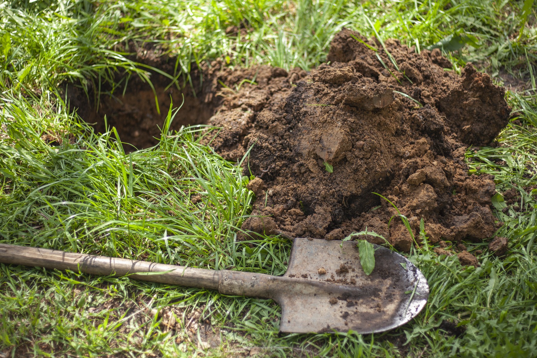 Condamnaţii la muncă în folosul comunităţii sunt repartizaţi în funcţie de abilităţi. Hoţii de lemne sunt obligaţi să planteze puieţi