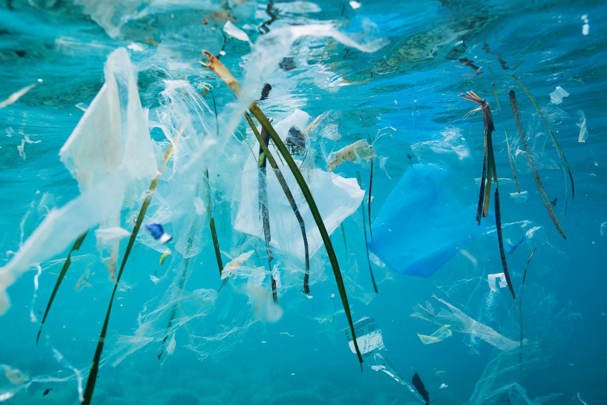 Rezolvarea poluării cu plastic: o super-enzimă care îl descompune de șase ori mai repede decât cele descoperite anterior