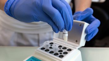 O universitate din Londra are propriul său laborator de testare Covid