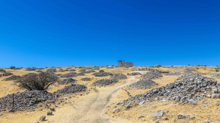 Cum se gătea în preistorie. Ipoteza lansată de cercetătorii spanioli