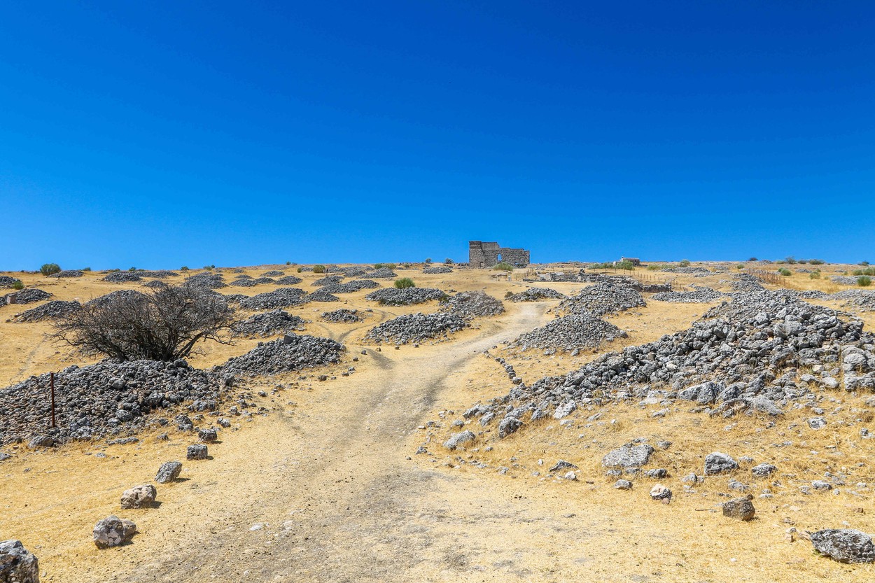 Cum se gătea în preistorie. Ipoteza lansată de cercetătorii spanioli