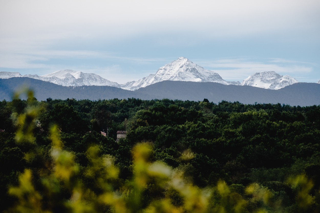 Măsurile de carantină au redus emisiile de gaze cu efect de seră. Ce efect vor avea asupra încălzirii globale