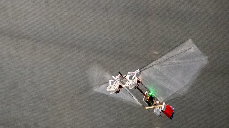 Robotica se reinventează și se inspiră din caracteristicile insectelor. Ce sunt triboții?