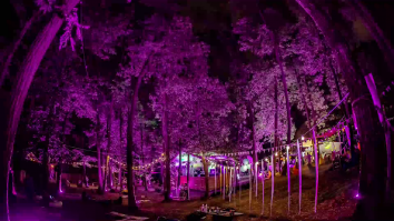 Senzoria: Festival de muzică în pădure, sâmbătă, la Iași. Numărul de bilete este limitat