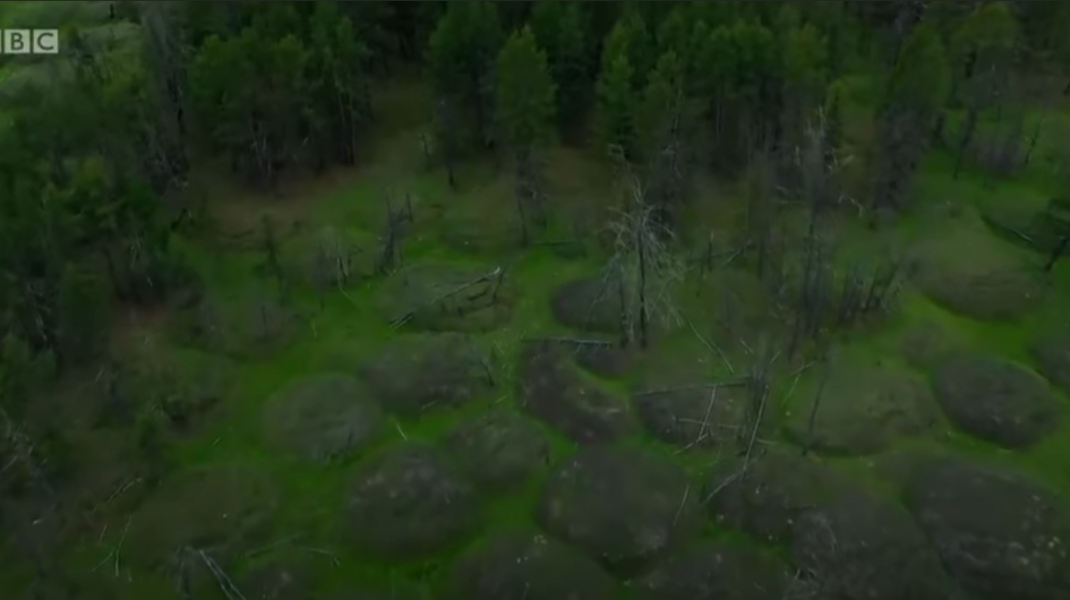siberia-movile
