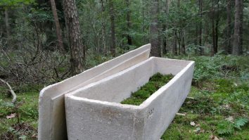 „Pădure în loc de cimitir“. În Olanda e utilizat „sicriul viu“, o alegere ușor bizară, dar tot mai populară