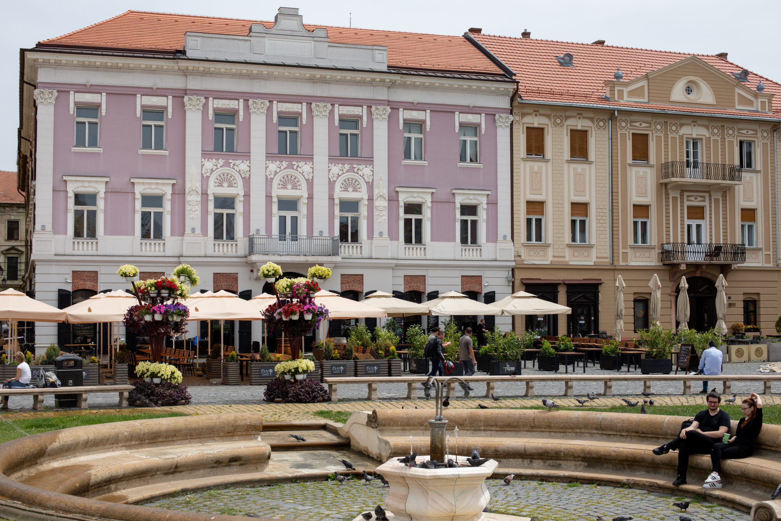 Alege Smart: Cum arată cel mai bun primar pentru Timișoara