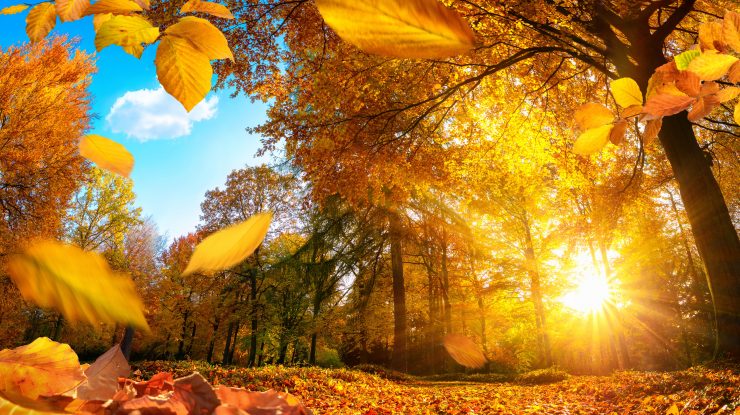 Meteorologii anunță vreme caldă până la jumătatea lunii octombrie