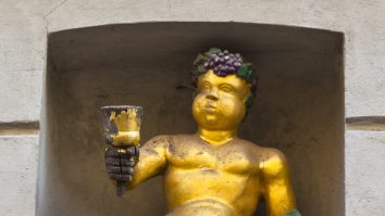 Cum recunoști un vin bun? Sfaturile unui viticultor