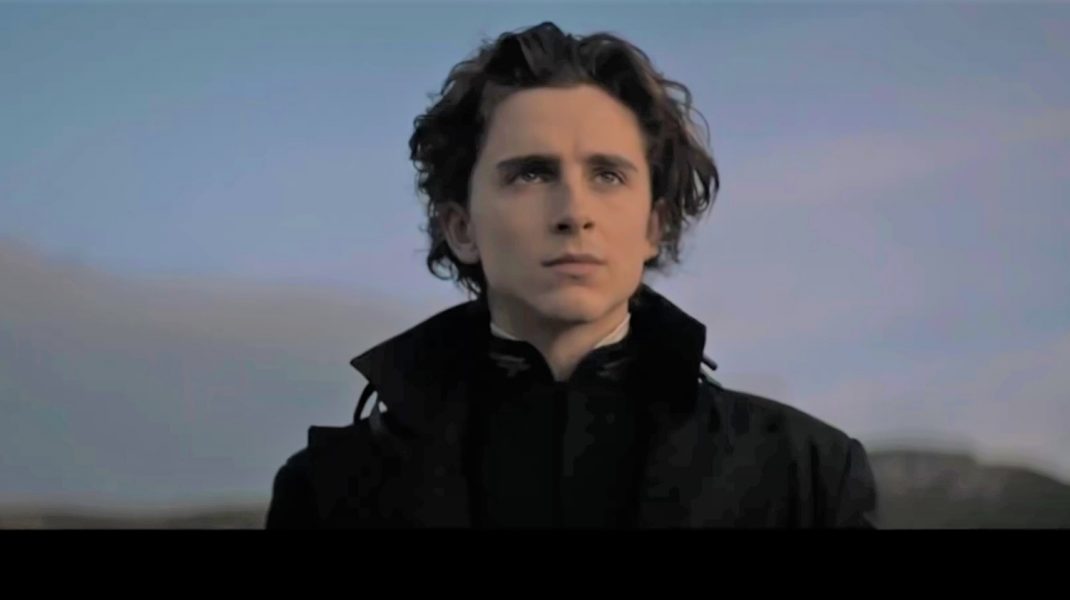 Timothee-Chalamet