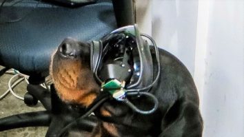 caine-ochelari-armata