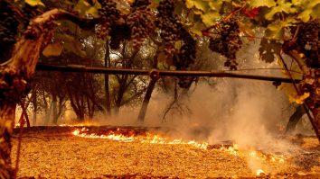 Flăcările din California au scăpat de sub control: 70.000 de oameni au fost evacuați