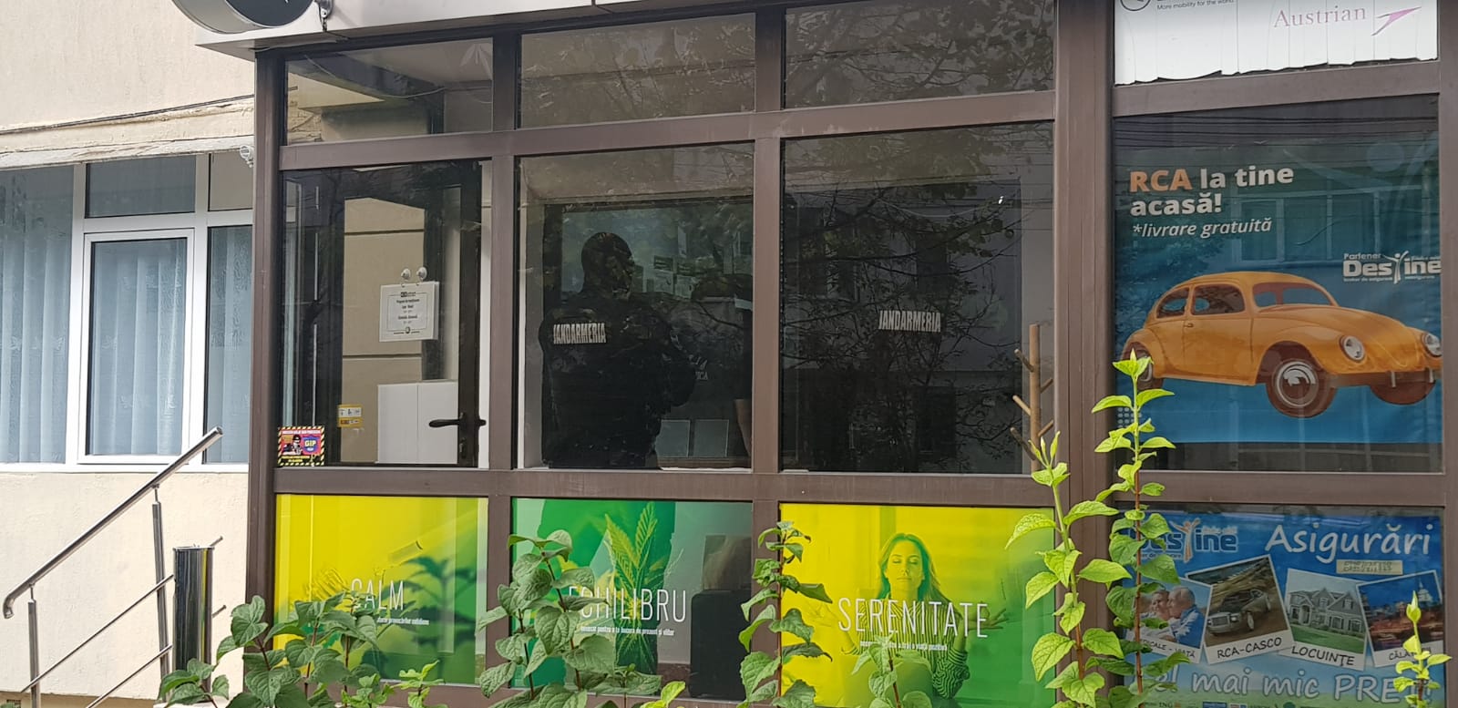 DIICOT a descins în magazinul cu produse din cannabis de la Iași, unde oamenii s-au strâns la coadă. Ce au găsit procurorii