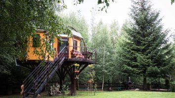 Casă în copac Râșnov