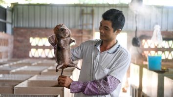 China va interzice creșterea a 45 specii de animale, pentru a preveni bolile