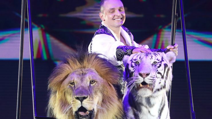 Fără animale la circ. Franța ia măsuri împotriva cruzimii față de animale