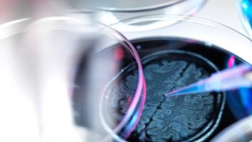 O nouă descoperire arată că apa rece ar putea preveni și trata demența