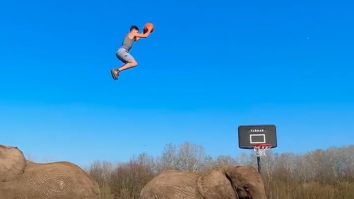 Slam dunk de pe elefanți. Un acrobat din SUA a devenit celebru după o execuție marca Jordan