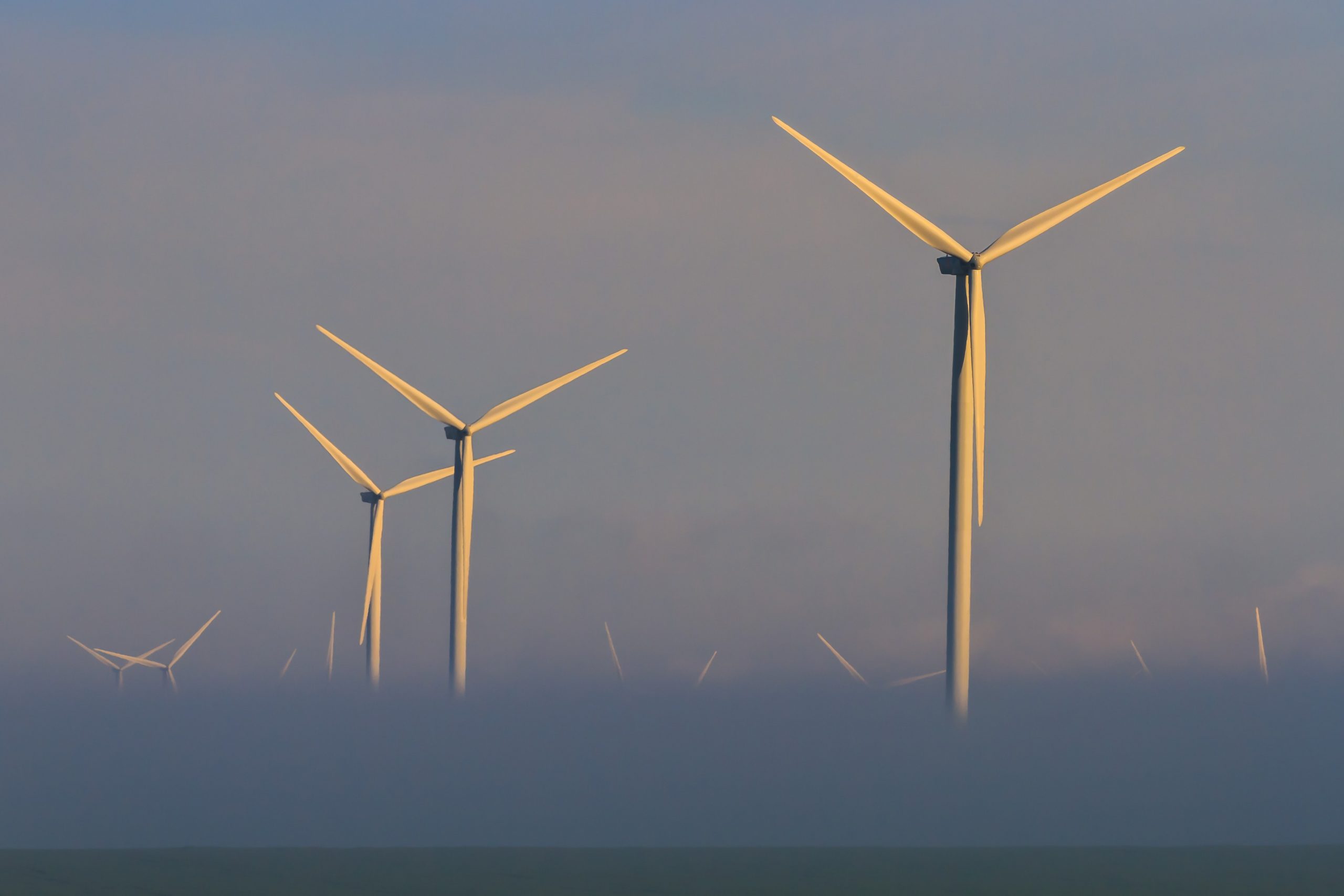 Ministrul Ghinea a trecut o firmă privată în PNRR și nu poate motiva alegerea: „Chiar nu a fost o decizie a mea”