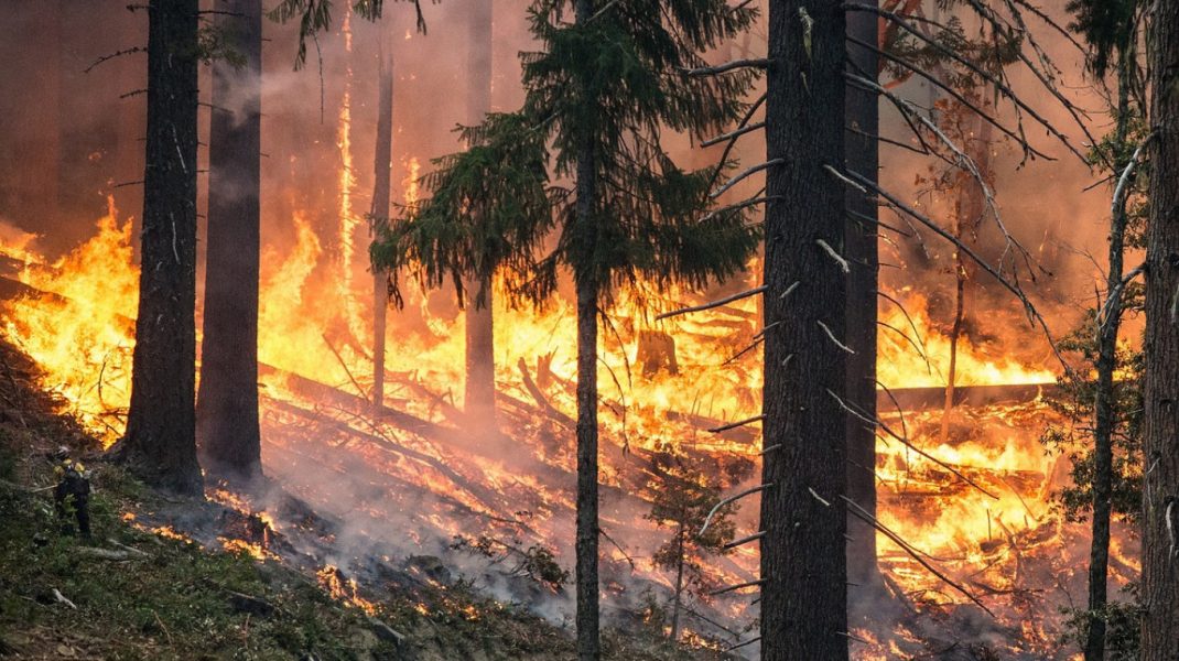 Cel puţin nouă oameni au murit în urma incendiilor de vegetaţie din estul Ucrainei
