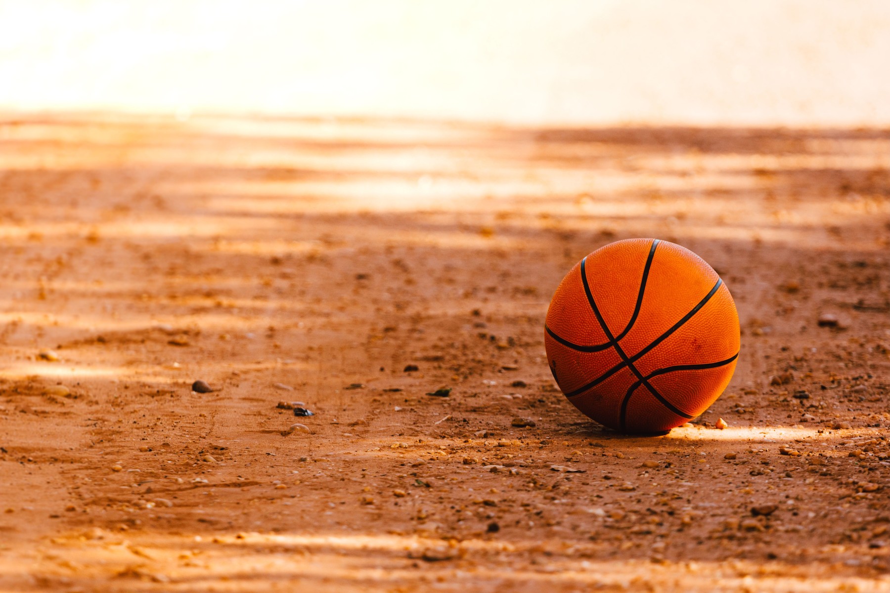 Baschetbaliști din tată în fiu. Cum petrec cei mici timp antrenându-se împreună cu părinții