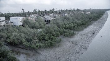 Studiu. Pandemiile vor deveni tot mai frecvente și mai severe din cauza degradării naturii