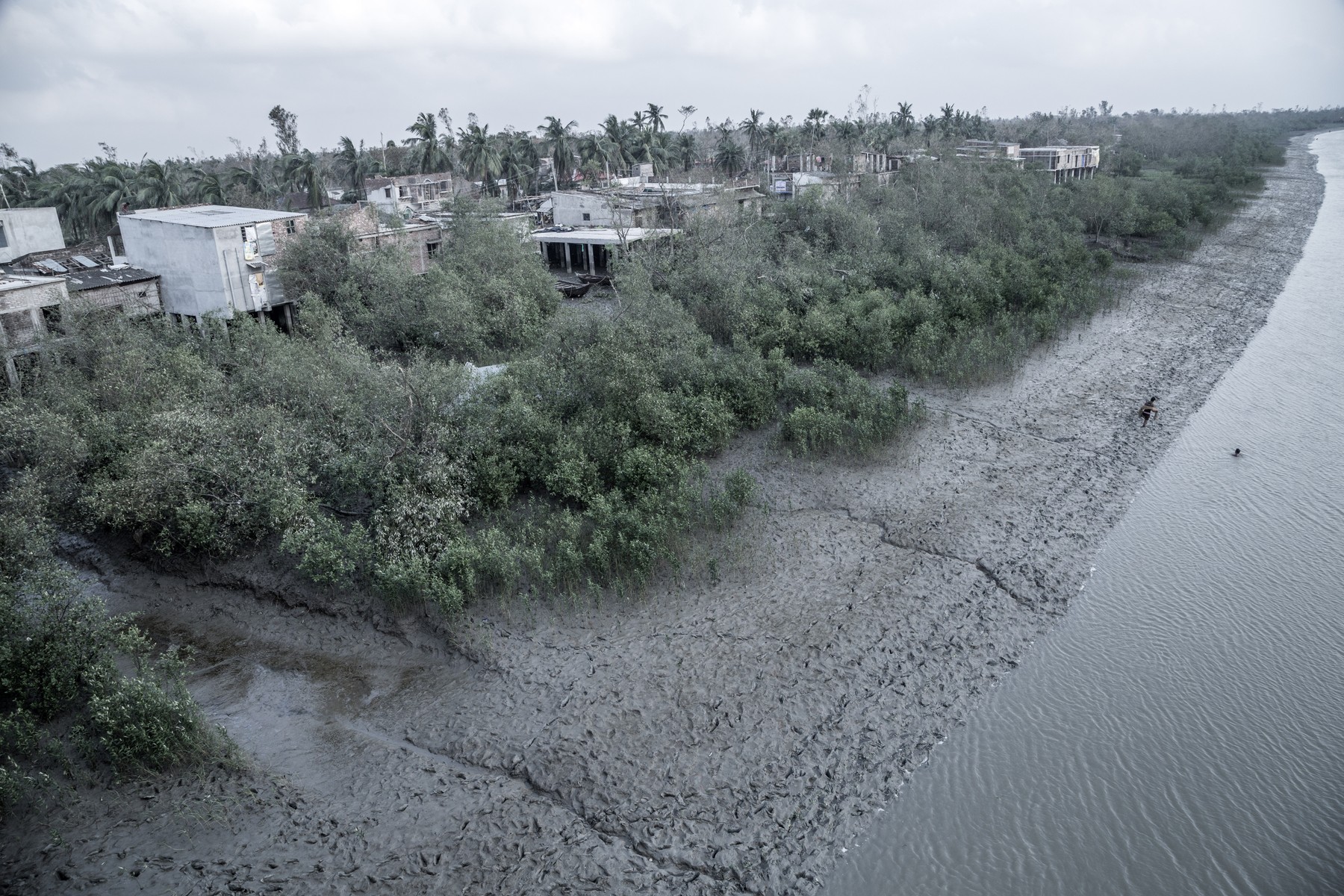 Studiu. Pandemiile vor deveni tot mai frecvente și mai severe din cauza degradării naturii