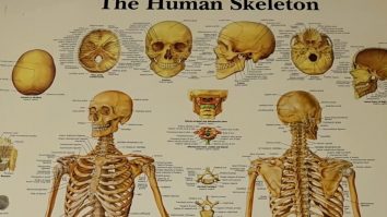 Cum previi osteoporoza și care sunt semnele acestei boli