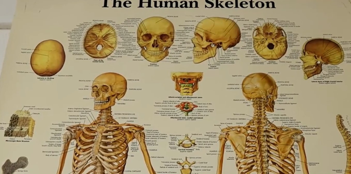 Cum previi osteoporoza și care sunt semnele acestei boli