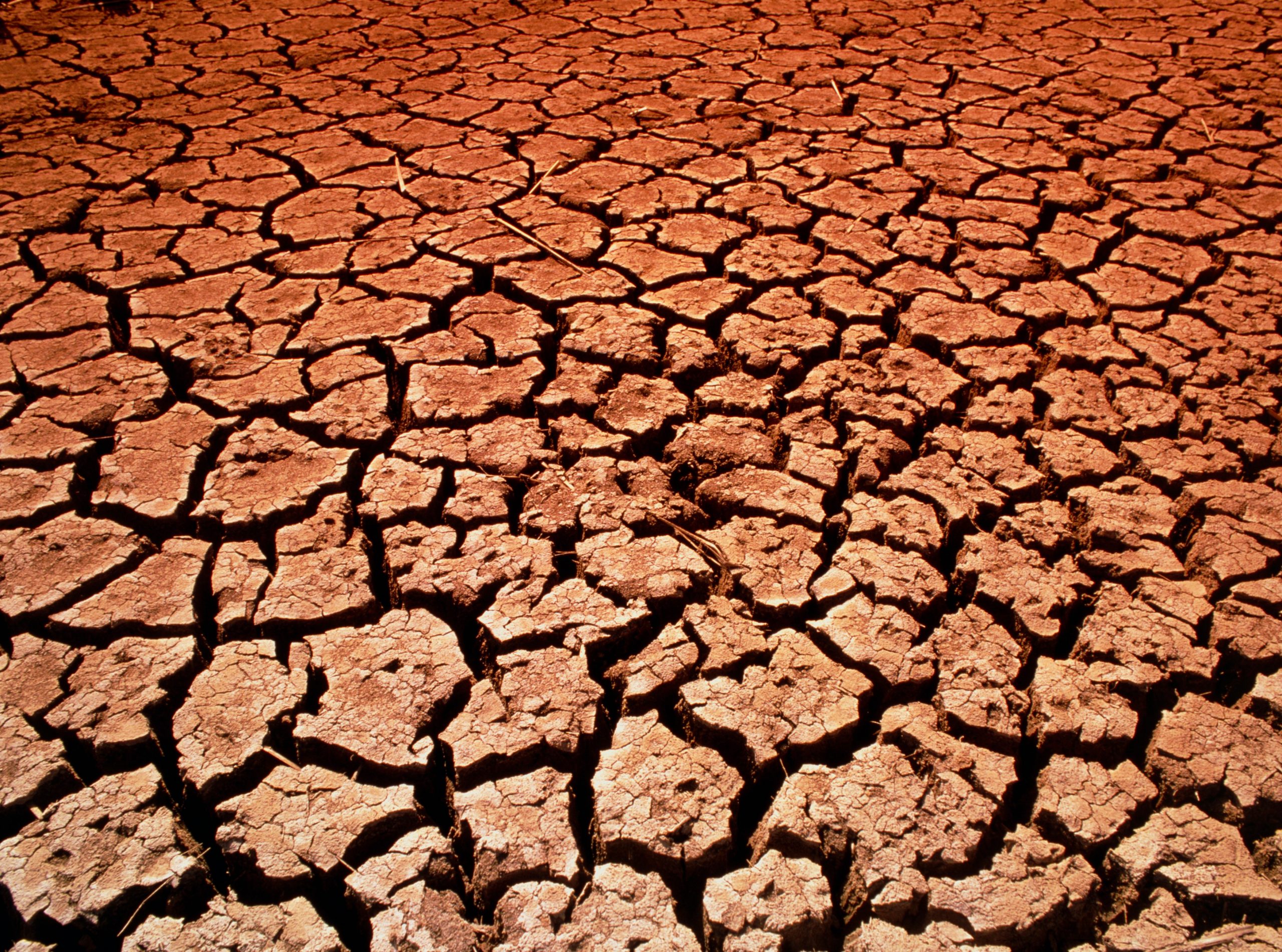 65% din terenul agricol din România, afectat de secetă. Se irigă cu pompe din 1985