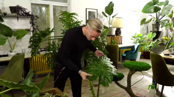 Showroom cu plante exotice la Iași. Prețurile pot ajunge până la 3.500 de lei