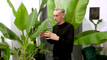 Showroom cu plante exotice la Iași. Prețurile pot ajunge până la 3.500 de lei