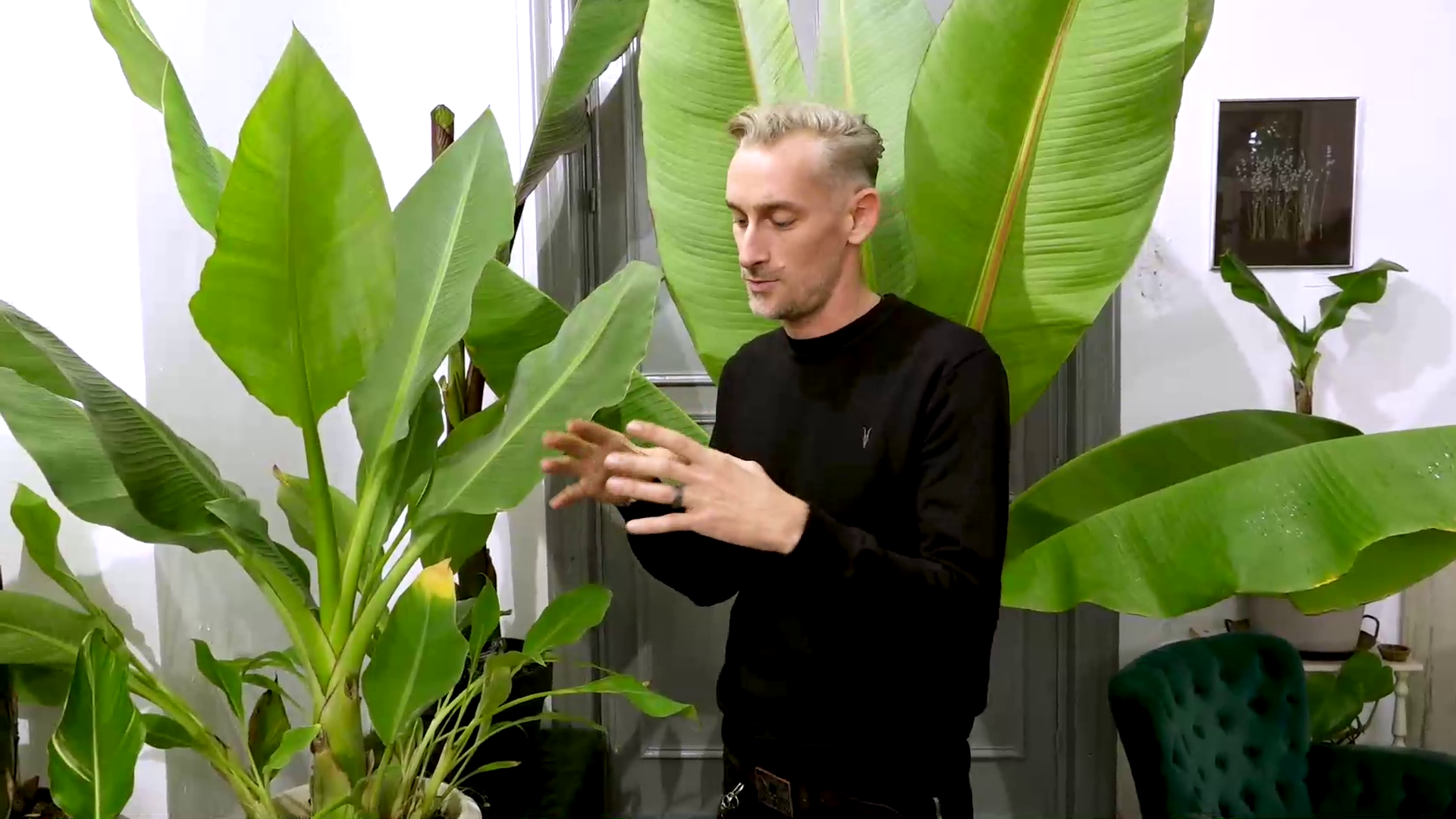 Pandemia a împins oamenii să îşi cumpere mai multe flori. Efectul benefic al plantelor