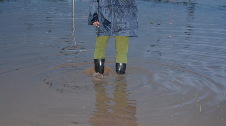 Cod portocaliu de ploi în Constanța, Ialomița și Călărași. Alte 12 județe sunt sub Cod galben