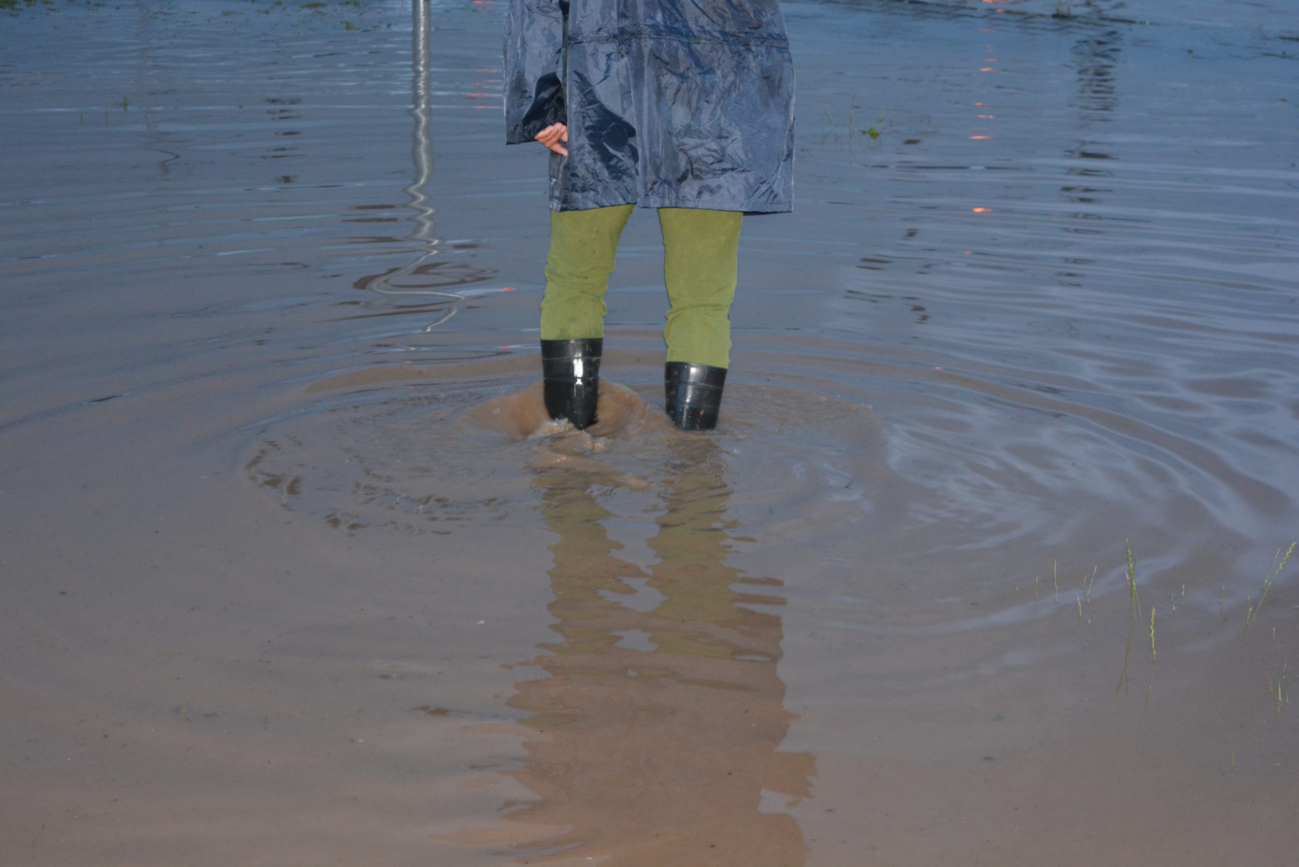 Cod portocaliu de ploi puternice pe litoral. Capitala și 28 de județe sunt sub alertă Cod galben