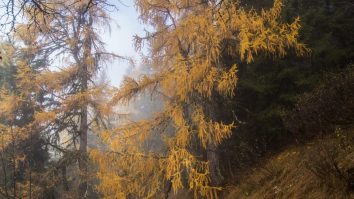 Prognoza meteo pentru perioada 7 – 20 noiembrie. Vremea se răcește semnificativ