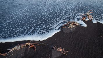 Dezastrul ecologic din Kamceatka. Oamenii se tem că apa ar fi fost poluată în urma unei scurgeri de combustibil de rachete