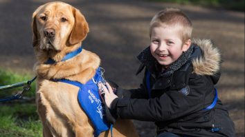 Terapia cu câini pentru copiii cu autism este din ce în ce mai căutată