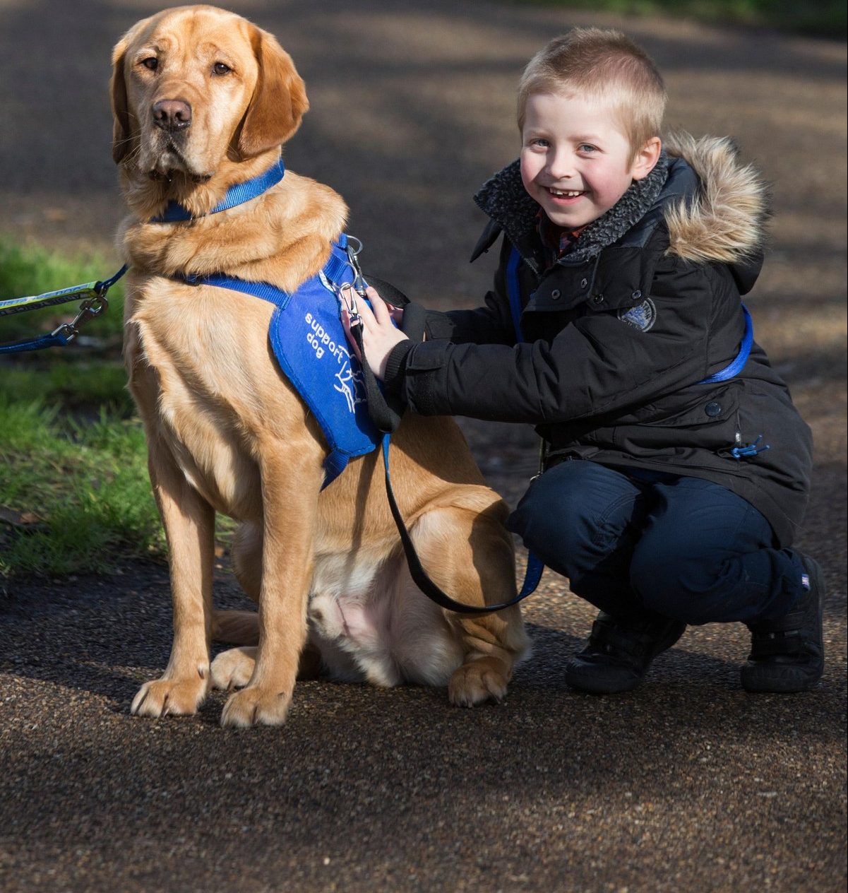 Terapia cu câini pentru copiii cu autism este din ce în ce mai căutată