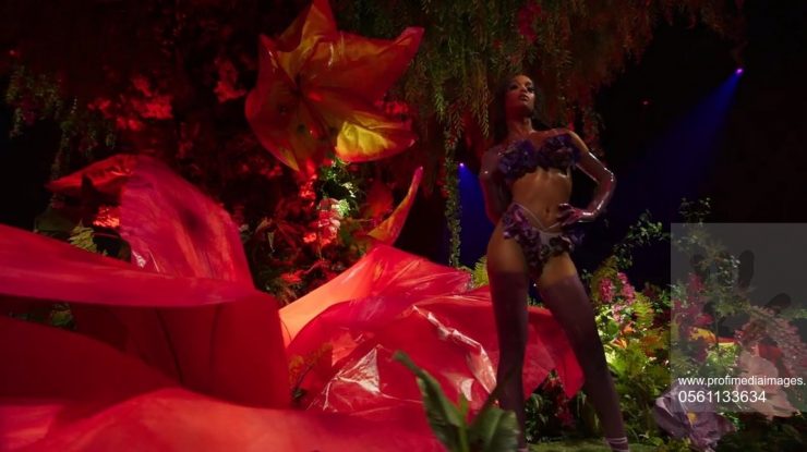 Melodia controversată de la Savage X Fenty. Rihanna și-a cerut scuze