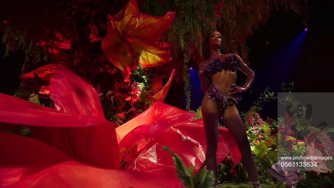 Melodia controversată de la Savage X Fenty. Rihanna și-a cerut scuze