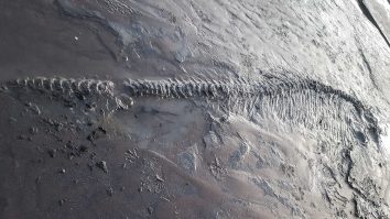 Masacrul înghețat din Epoca Fierului. Ce au descoperit arheologii