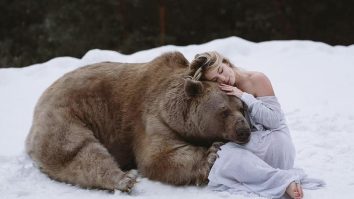 Un urs, în ipostaze tandre într-o campanie de combatere a vânătorii. Imagini cu uriașul blănos, alături de modele firave