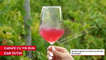 Proprietarii de crame, nevoiți să se reinventeze: „Este testul generaţiei noastre”