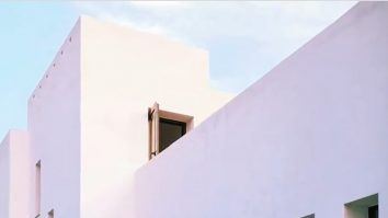 Beneficiile vopselei albe